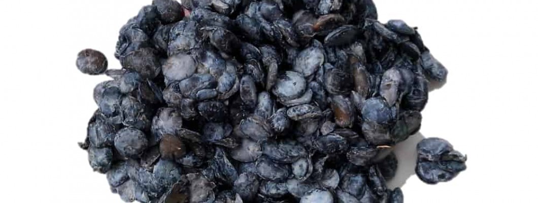 Top benefits of eating locust beans Top benefits of eating locust beans